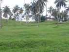 Land for Sale Matara Labeema