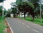 Land for Sale Matara Labeema