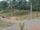 Land for Sale Matara Lake Front