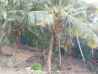 Land For Sale Matara Thalpavila Kekanadura