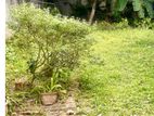 Land For Sale matara/වටිනා ඉඩමක් විකිනීමට