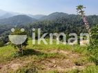 Land for Sale Mathale