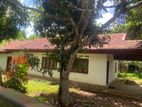 Land For Sale Mathara Hakmana Main Road Facing
