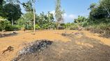 Land for Sale - Mawanalla