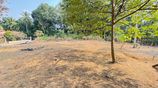 Land for Sale - Mawanalla