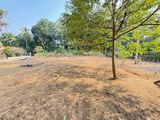 Land for Sale - Mawanalla, Hemmathagama Road