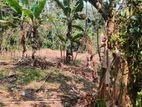 Land for sale Mawanella