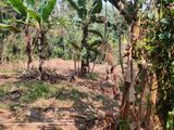 Land for sale Mawanella