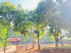 Land For Sale Mawanella