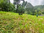Land for Sale Mawanella