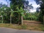 Land for Sale - Mawathagama