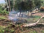 Land for Sale Mawathagama