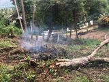 Land for Sale Mawathagama