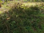 Land for Sale Medirigiriya