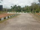 Land for Sale Meegoda