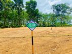 Land for Sale Meepe