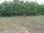 land for sale meepe