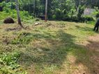 Land For Sale Meepe