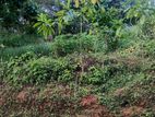 LAND FOR SALE MEEPE