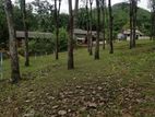 LAND FOR SALE MEEPE