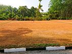 Land for Sale Meepe Town