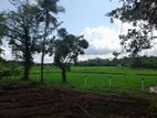 Land for Sale මහපිටිය