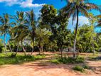 Land For Sale Midigama