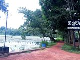 Land For Sale - Minuwangoda