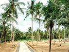 Land for Sale Minuwangoda