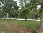 Land for Sale Minuwangoda