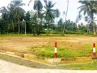 Land for Sale Minuwangoda