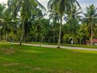 Land for Sale Minuwangoda