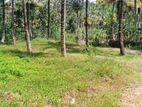 Land for Sale Minuwangoda