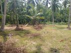 Land for Sale Minuwangoda