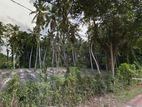 Land for Sale Minuwangoda
