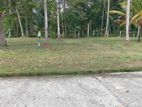 Land for Sale Minuwangoda