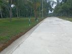 Land for Sale - Minuwangoda