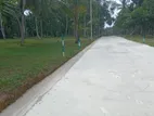 Land for Sale - Minuwangoda