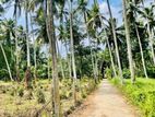 Land for Sale Minuwangoda