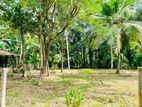 Land for Sale Minuwangoda