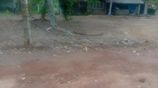 Land for Sale Minuwangoda