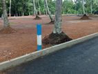 land for sale Minuwangoda