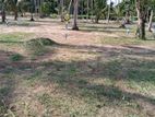 Land for Sale Minuwangoda