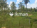 Land for Sale - Mirigama