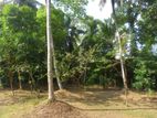 Land for Sale Mirigama