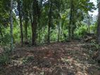 Land for sale Mirigama