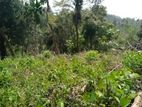 Land for Sale Mirissa