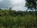 Land for Sale Mirissa