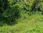 Land for Sale Mirissa