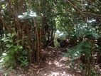 Land For Sale Mirissa